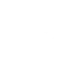 TRON Icon - White version
